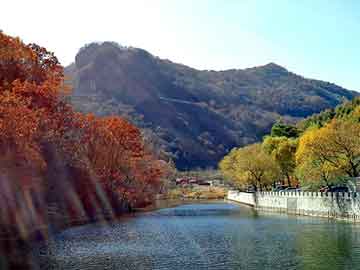 新澳门二四六天天彩，电机节电器